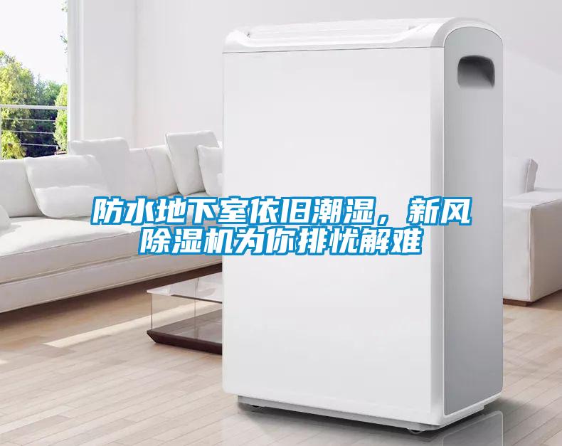 防水地下室依舊潮濕，新風除濕機為你排憂解難