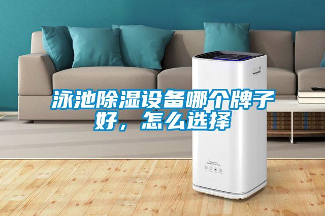 泳池除濕設(shè)備哪個(gè)牌子好，怎么選擇