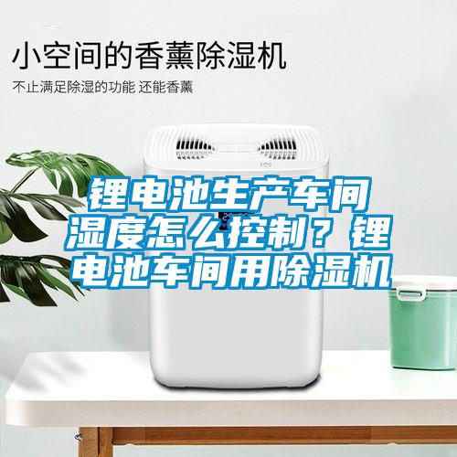 鋰電池生產(chǎn)車間濕度怎么控制？鋰電池車間用除濕機(jī)