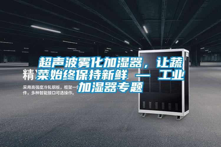超聲波霧化加濕器，讓蔬菜始終保持新鮮 — 工業加濕器專題