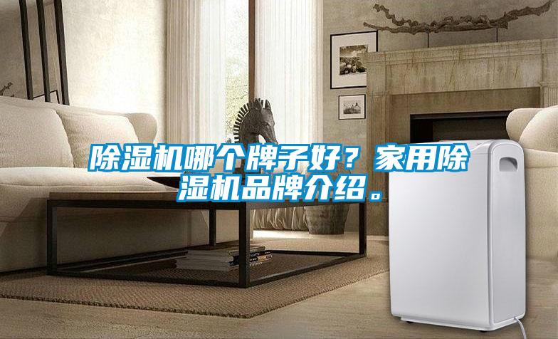 除濕機(jī)哪個(gè)牌子好？家用除濕機(jī)品牌介紹。