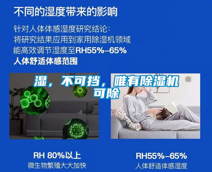 濕，不可擋，唯有除濕機可除