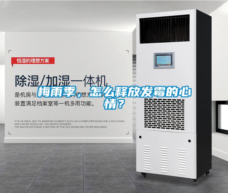 梅雨季，怎么釋放發霉的心情？