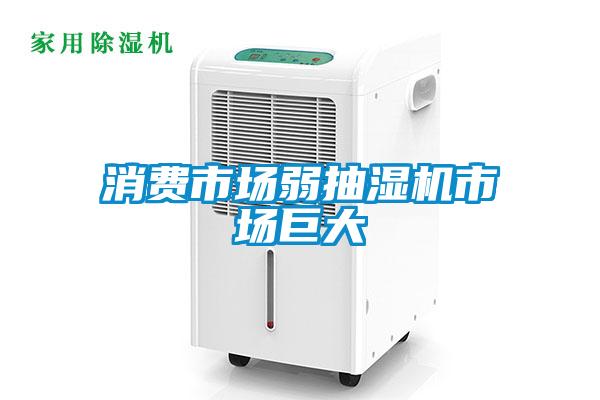 消費(fèi)市場弱抽濕機(jī)市場巨大