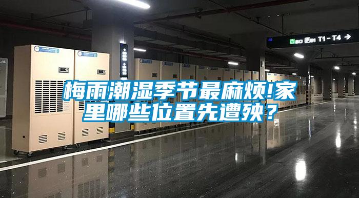 梅雨潮濕季節最麻煩!家里哪些位置先遭殃？