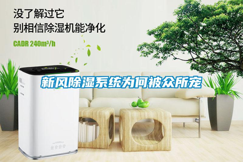 新風除濕系統(tǒng)為何被眾所寵