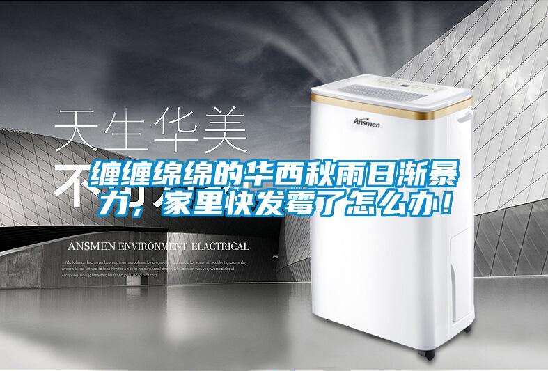 纏纏綿綿的華西秋雨日漸暴力，家里快發(fā)霉了怎么辦！