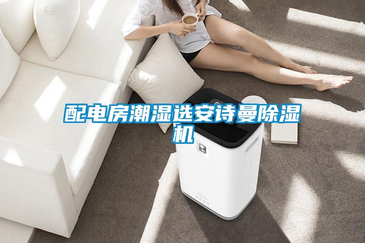 配電房潮濕選安詩曼除濕機