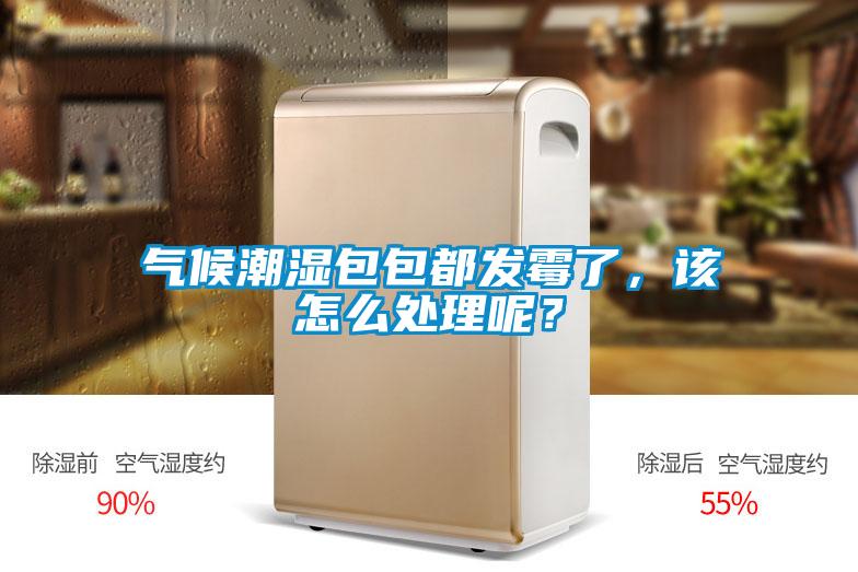 氣候潮濕包包都發霉了，該怎么處理呢？
