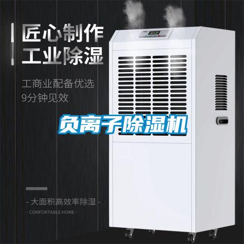 負離子除濕機