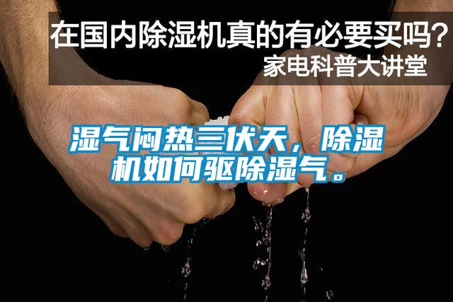 濕氣悶熱三伏天，除濕機如何驅除濕氣。