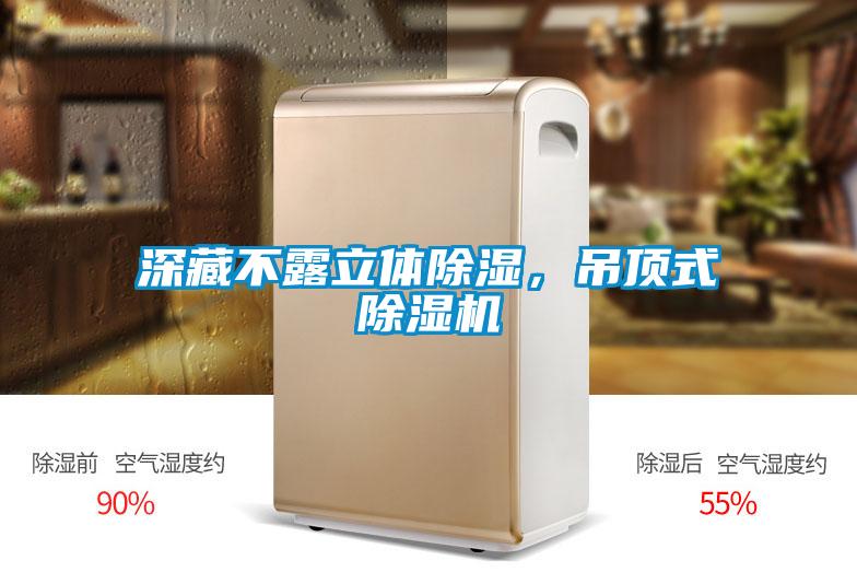 深藏不露立體除濕，吊頂式除濕機