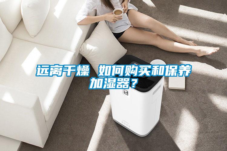 遠離干燥 如何購買和保養加濕器？