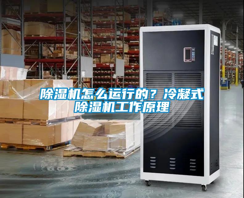 除濕機怎么運行的？冷凝式除濕機工作原理