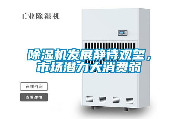 除濕機(jī)發(fā)展靜待觀望，市場(chǎng)潛力大消費(fèi)弱