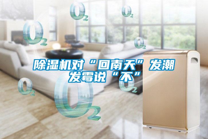 除濕機(jī)對(duì)“回南天”發(fā)潮發(fā)霉說“不”