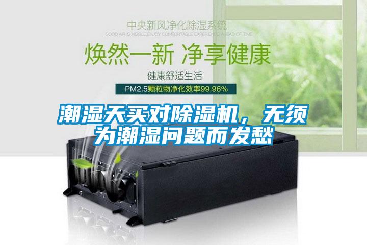 潮濕天買對除濕機，無須為潮濕問題而發愁