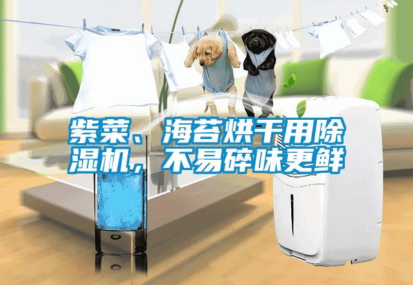 紫菜、海苔烘干用除濕機，不易碎味更鮮