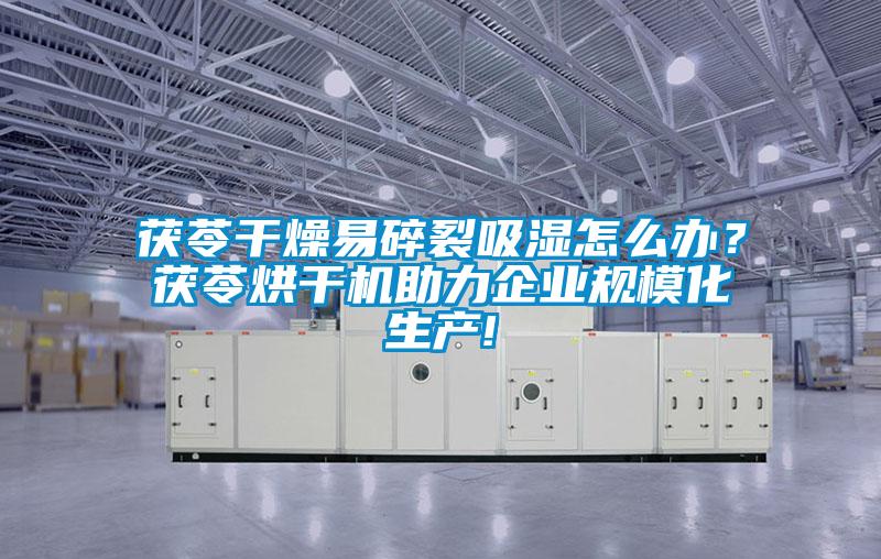 茯苓干燥易碎裂吸濕怎么辦？茯苓烘干機助力企業規?；a!