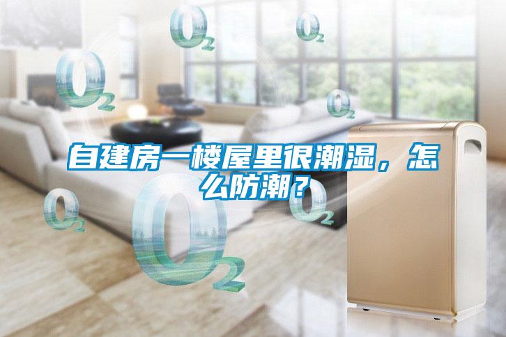 自建房一樓屋里很潮濕，怎么防潮？