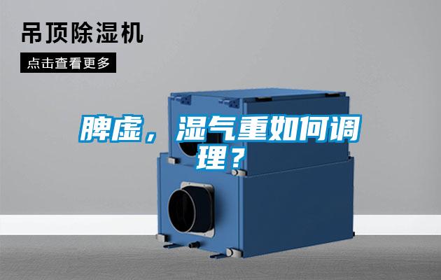 脾虛，濕氣重如何調(diào)理？