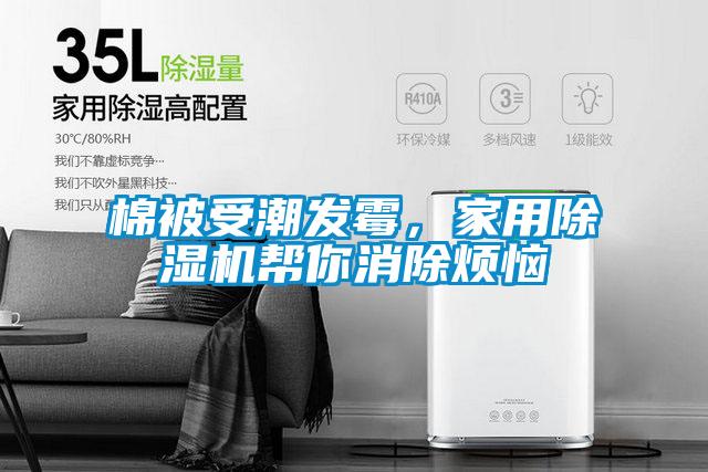 棉被受潮發霉，家用除濕機幫你消除煩惱