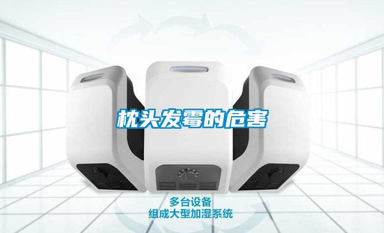 枕頭發霉的危害