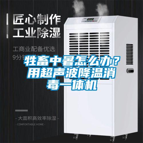 牲畜中暑怎么辦？用超聲波降溫消毒一體機(jī)