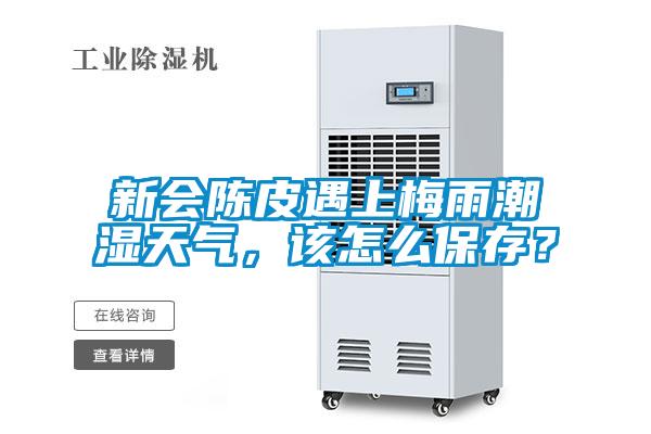 新會陳皮遇上梅雨潮濕天氣，該怎么保存？