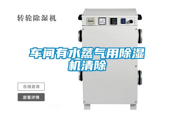 車間有水蒸氣用除濕機(jī)清除