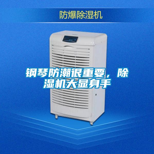 鋼琴防潮很重要，除濕機大顯身手