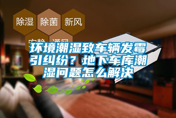 環(huán)境潮濕致車輛發(fā)霉引糾紛？地下車庫潮濕問題怎么解決