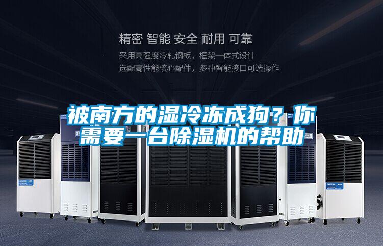 被南方的濕冷凍成狗？你需要一臺除濕機的幫助