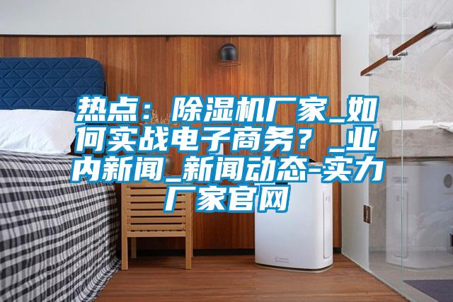 熱點：除濕機廠家_如何實戰電子商務？_業內新聞_新聞動態-實力廠家官網