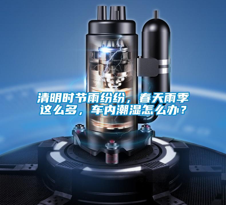 清明時(shí)節(jié)雨紛紛，春天雨季這么多，車內(nèi)潮濕怎么辦？