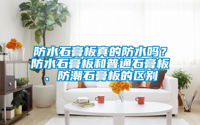 防水石膏板真的防水嗎？防水石膏板和普通石膏板、防潮石膏板的區別