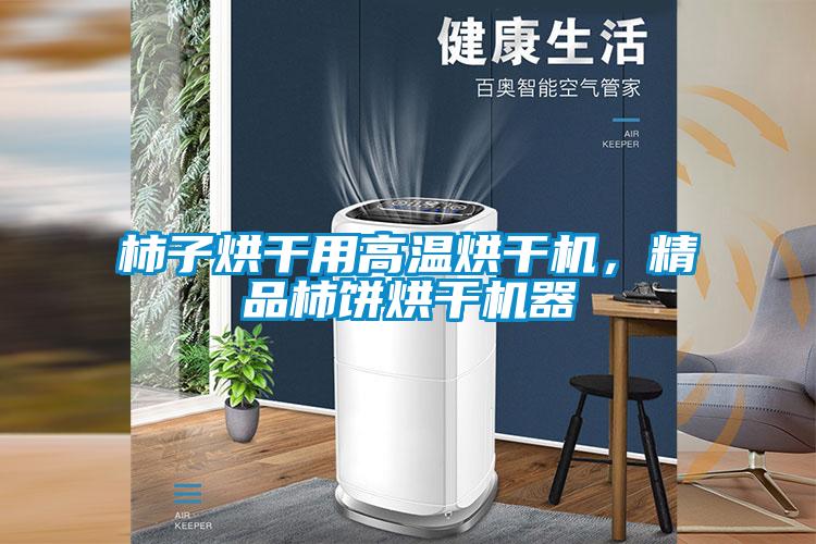 柿子烘干用高溫烘干機,精品柿餅烘干機器