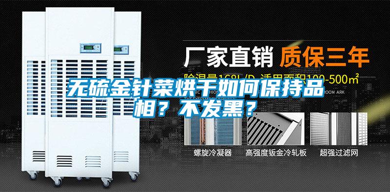 無硫金針菜烘干如何保持品相？不發(fā)黑？