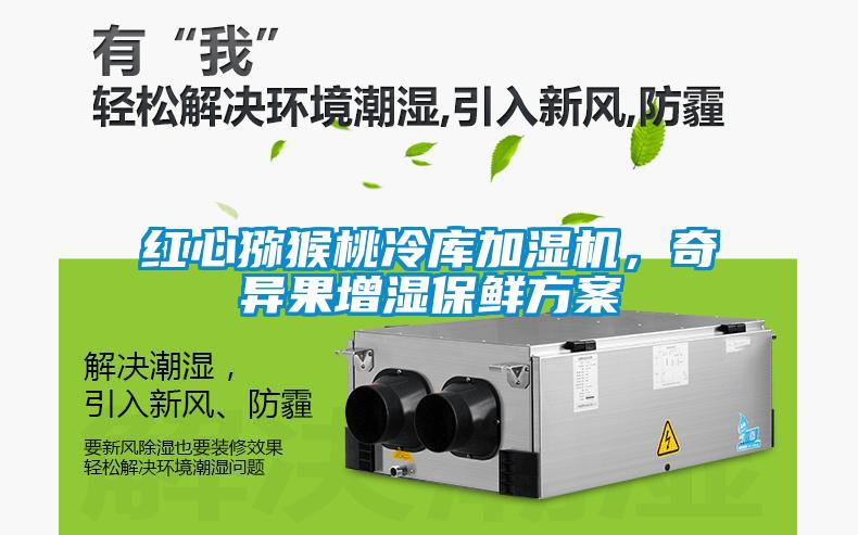 紅心獼猴桃冷庫(kù)加濕機(jī)，奇異果增濕保鮮方案