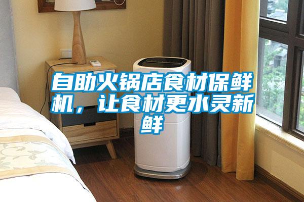自助火鍋店食材保鮮機，讓食材更水靈新鮮