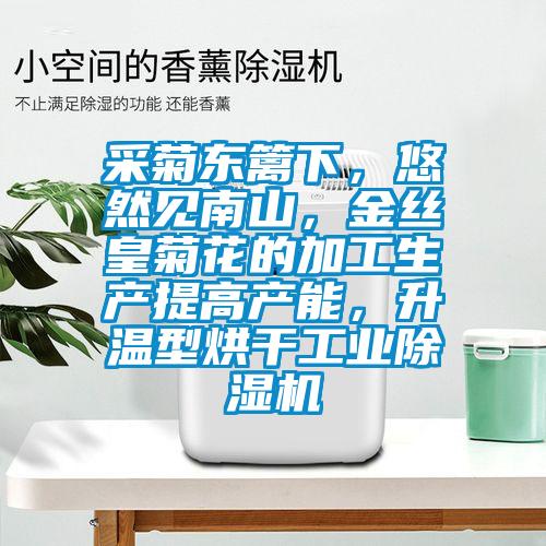 采菊東籬下，悠然見(jiàn)南山，金絲皇菊花的加工生產(chǎn)提高產(chǎn)能，升溫型烘干工業(yè)除濕機(jī)
