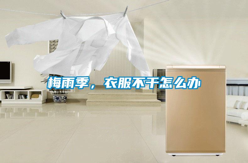 梅雨季，衣服不干怎么辦