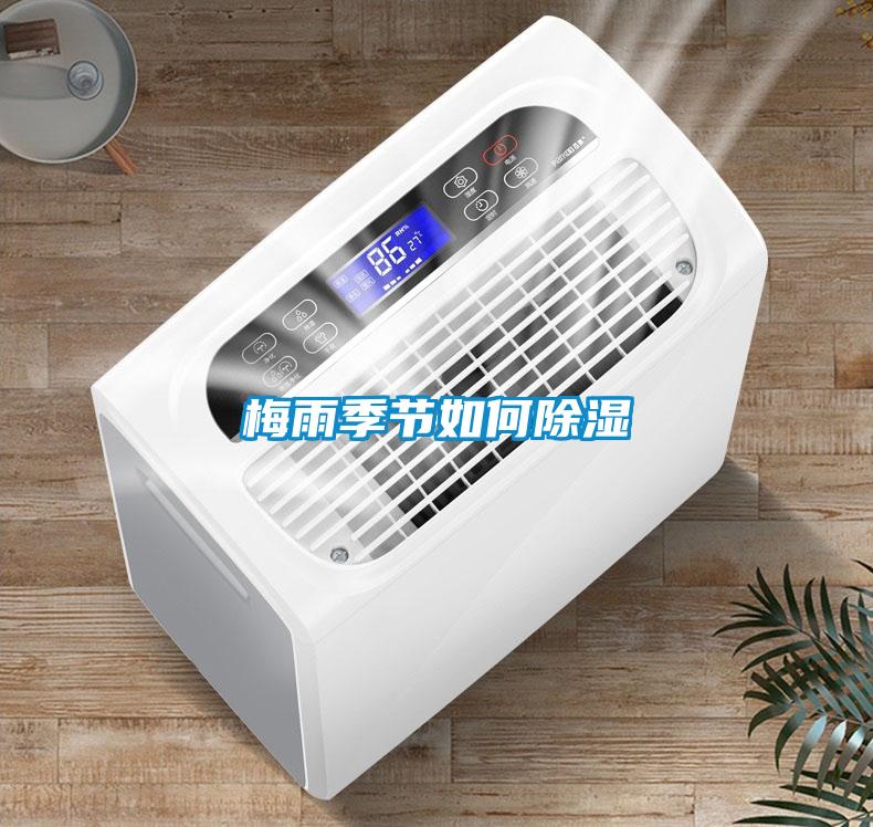 梅雨季節如何除濕