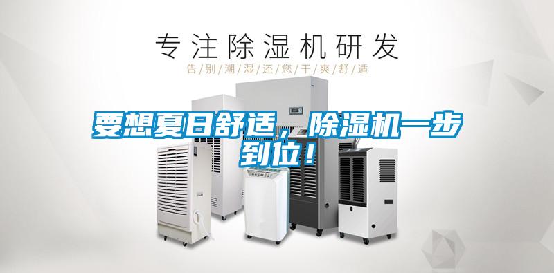 要想夏日舒適，除濕機一步到位！