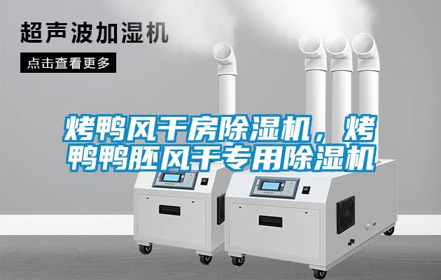 烤鴨風(fēng)干房除濕機(jī)，烤鴨鴨胚風(fēng)干專用除濕機(jī)
