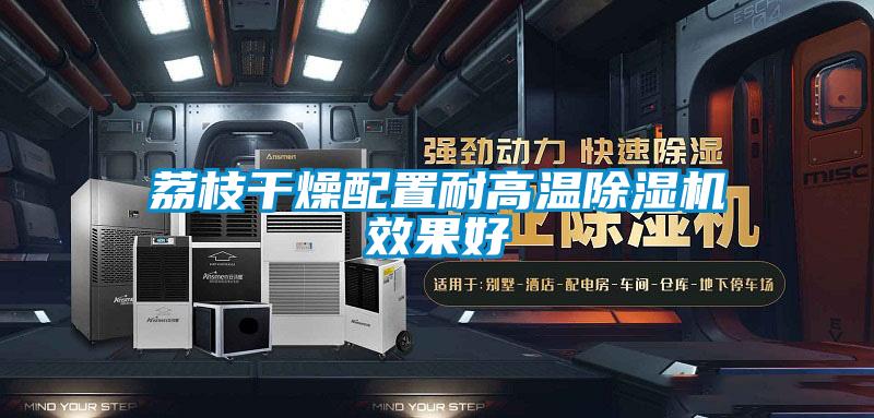 荔枝干燥配置耐高溫除濕機效果好