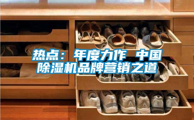 熱點：年度力作 中國除濕機品牌營銷之道