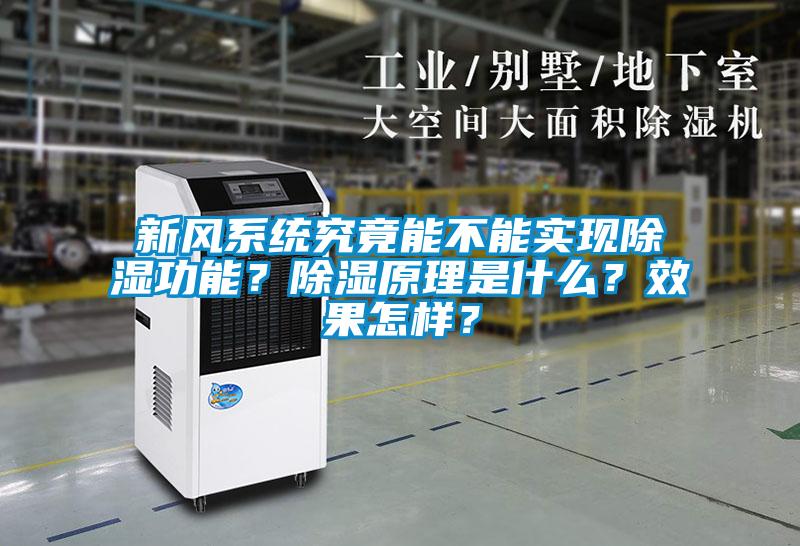 新風系統究竟能不能實現除濕功能？除濕原理是什么？效果怎樣？