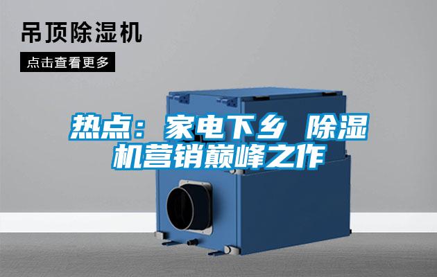 熱點：家電下鄉 除濕機營銷巔峰之作