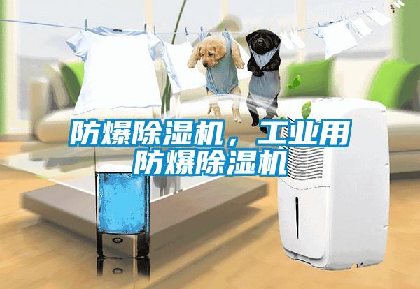 防爆除濕機，工業用防爆除濕機